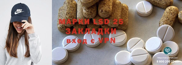 шишки Сясьстрой