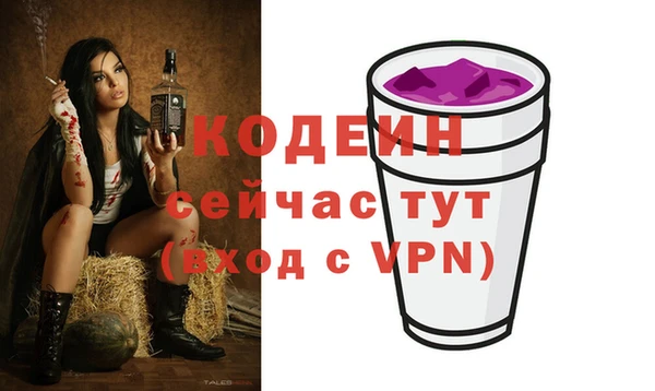 шишки Сясьстрой