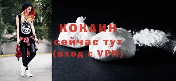 винт Карпинск