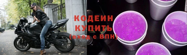 шишки Сясьстрой