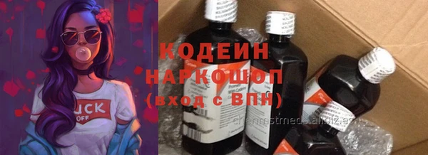 шишки Сясьстрой