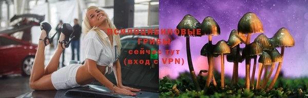 дмт Касимов