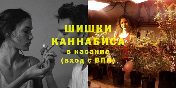 дмт Касимов