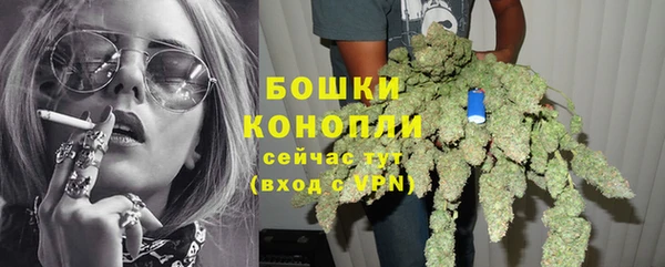 дмт Касимов