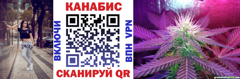 Бошки Шишки план  Купить  Велиж 